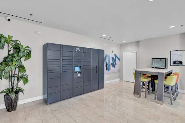 Amazon Hub Locker at Avia Apartments at Reedy Creek, Florida, 34747